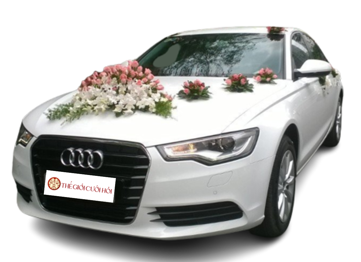 xe hoa audi